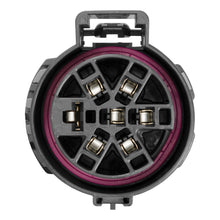 Load image into Gallery viewer, Curt Replacement USCAR Socket w/24ft Wires (Vehicle Side)